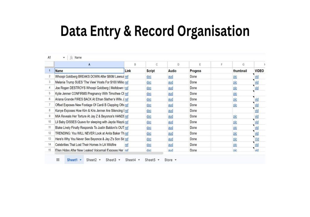 data entry & record organization (1)