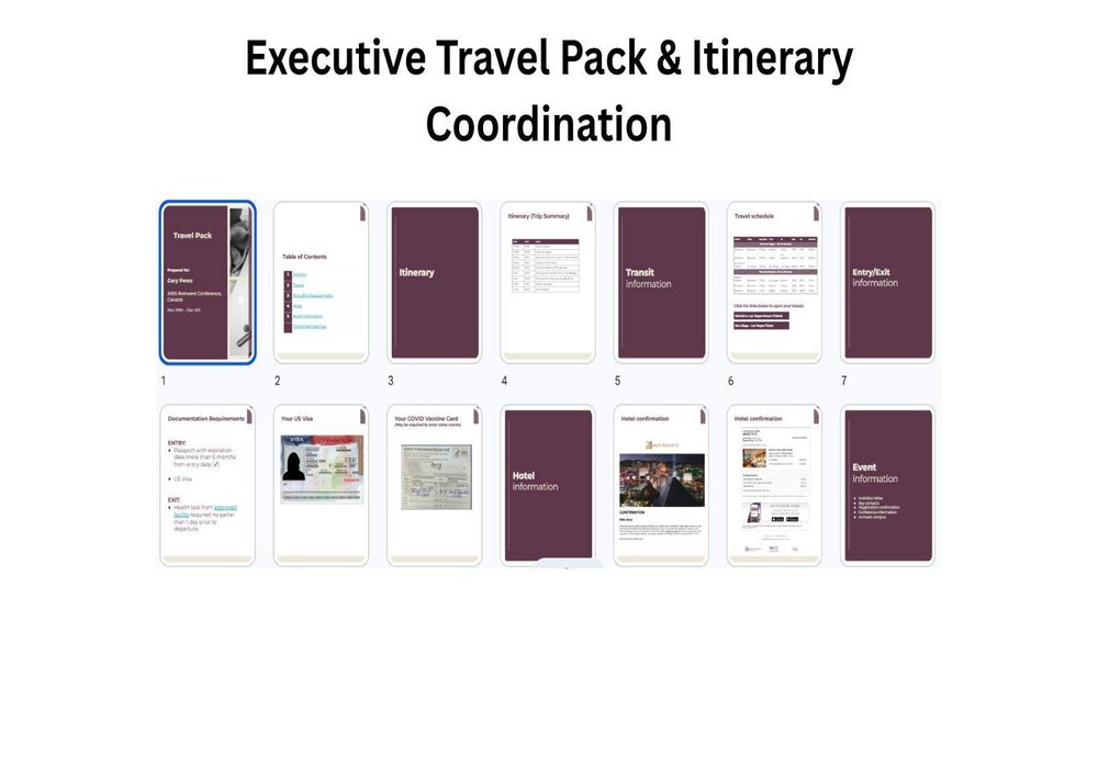 executive travel pack & itinerary coordination (2) (1)